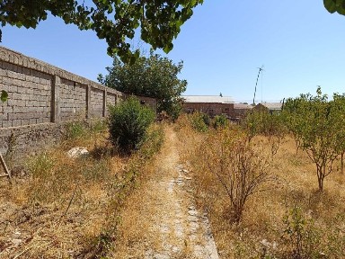 Ташкентская область, Кибрай