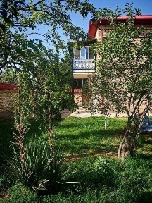 Ташкентская область, Нурафшан (Тойтепа)