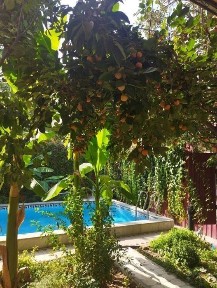 Ташкентская область, Ташкент, Мирзо-Улугбекский район