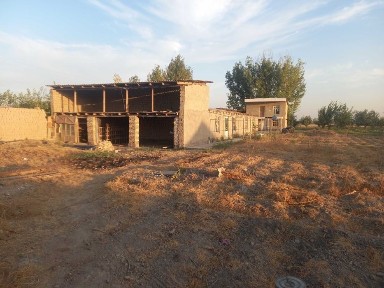 20 sotixlik uchaska sotiladi.