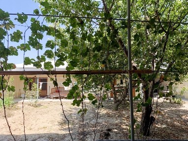 Ташкентская область, Эшангузар