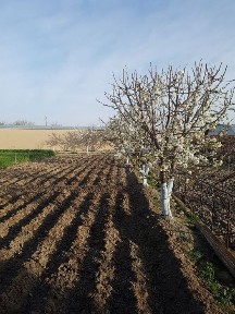 Продается участок. Тайлак Маданият
