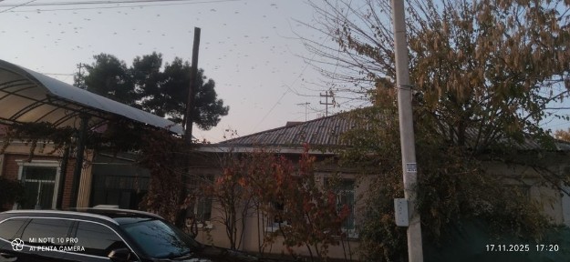 Ташкентская область, Ташкент, Мирабадский район