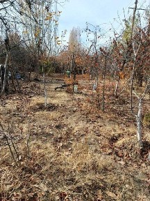 Участок продается. Хисорак куёш