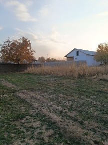 Shahrisabzdan Uchaska sotiladi