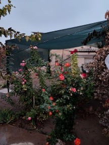 Срочно продаётся дом, ориентир кафе отов.