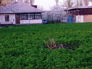 Ташкентская область, Чирчик