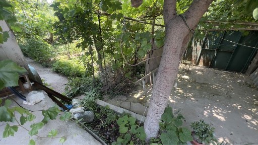 Ташкентская область, Алмалык