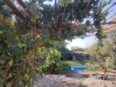 Навоийская область, Навои