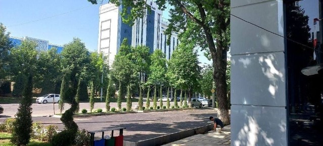 Ташкентская область, Ташкент, Юнусабадский район