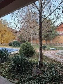 Dacha sotiladi 9 sotix