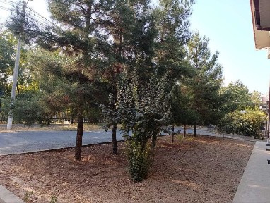 Ташкентская область, Ташкент, Мирзо-Улугбекский район