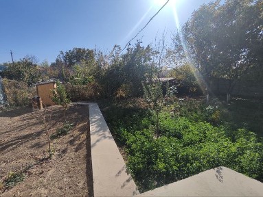 Ташкентская область, Кибрай