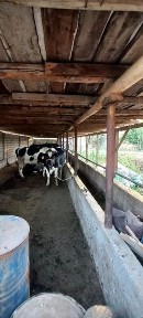 Ташкентская область, Зангиата