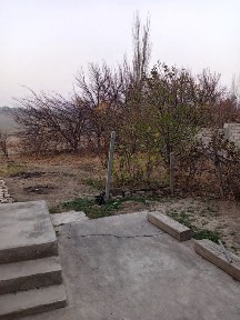 Ташкентская область, Кибрай