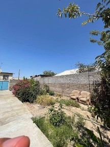 Ташкентская область, Нурафшан (Тойтепа)