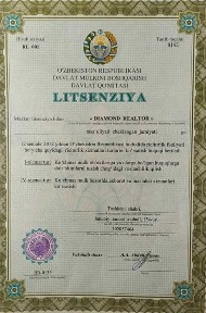 Ташкентская область, Нурафшан (Тойтепа)