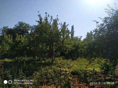 Ташкентская область, Чарвак