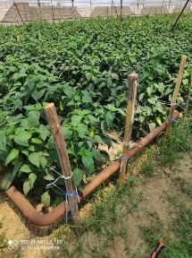 Ташкентская область, Ташкент, Бектемирский район