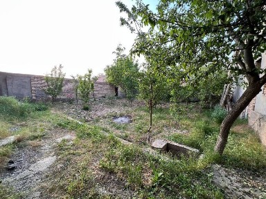 Ташкентская область, Ташкент, Шайхантахурский район