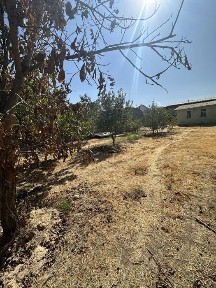 Ташкентская область, Ташкент, Мирзо-Улугбекский район