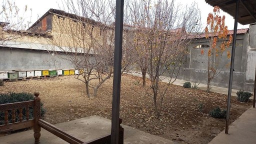 Ташкентская область, Ташкент, Учтепинский район