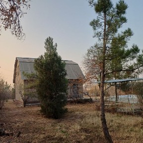 Ташкентская область, Кибрай