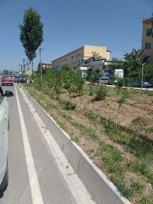 Ташкентская область, Ахангаран