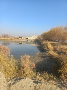 Навоийская область, Навои