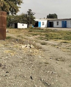 Ташкентская область, Нурафшан (Тойтепа)