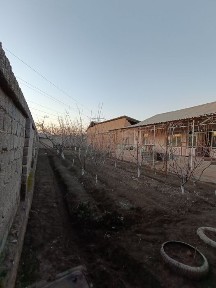 Ташкентская область, Кибрай