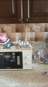 Ташкентская область, Ташкент, Алмазарский район