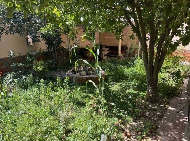 Ташкентская область, Ташкент, Мирабадский район