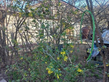 Ташкентская область, Ташкент, Мирзо-Улугбекский район