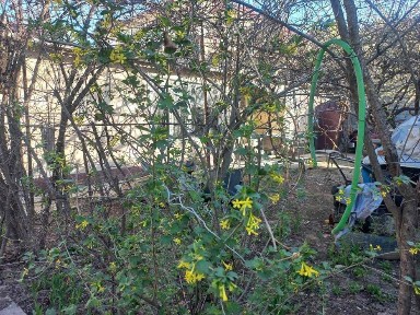 Ташкентская область, Ташкент, Мирзо-Улугбекский район