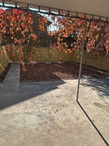 Ташкентская область, Ташкент, Алмазарский район