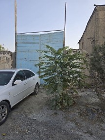 Самаркандская область, Самарканд