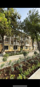 Аренда нежилое в центре 1 линия Шота Руставели 35 ор-р Yes Coffee