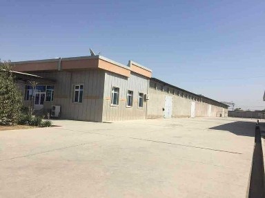 Ташкентская область, Зангиата