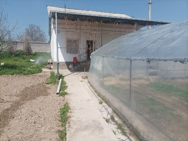 Ташкентская область, Янгиюль