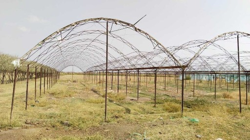 Сурхандарьинская область, Термез