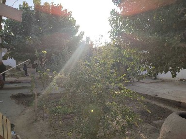 уй сотилади 4 ярим соток 3 хона