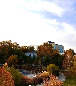 Ташкентская область, Ташкент, Мирзо-Улугбекский район