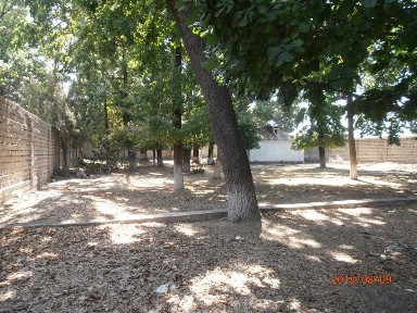 Ташкентская область, Ташкент, Сергелийский район