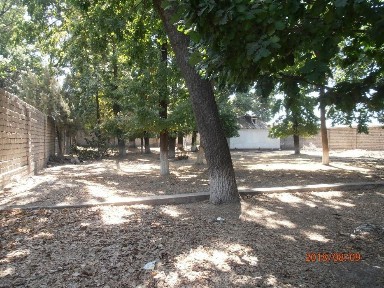 Ташкентская область, Ташкент, Сергелийский район