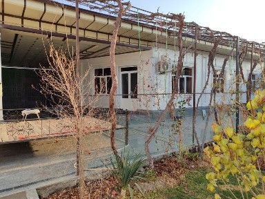 Гулистон 3 дан Замонавий ховли