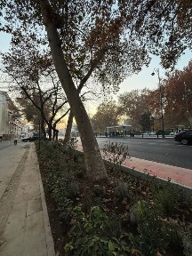 Нежилое коммерческое помещение Шота Руставели