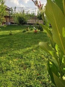 Ташкентская область, Кибрай