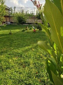 Ташкентская область, Кибрай