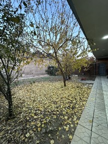 Ташкентская область, Ташкент, Мирзо-Улугбекский район